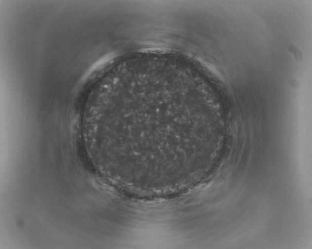 X0000115321351200911231342