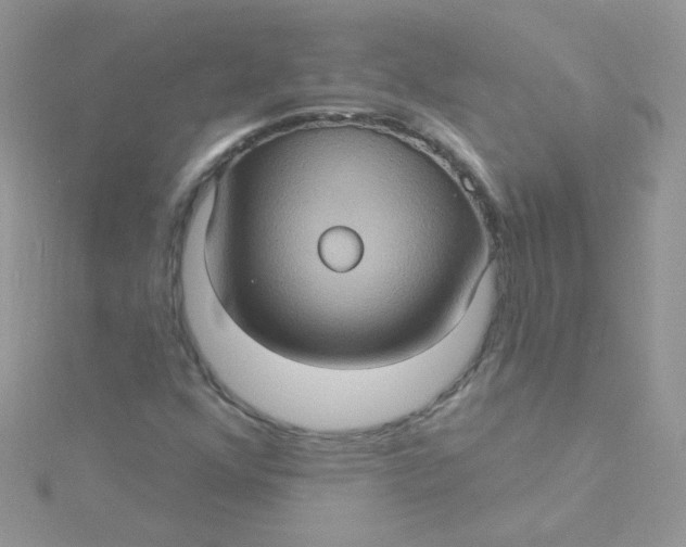 X0000115321352200911231342