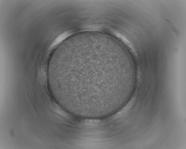 X0000115321354200911231342