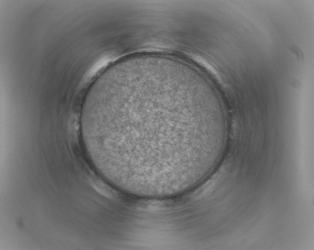 X0000115321355200911231342