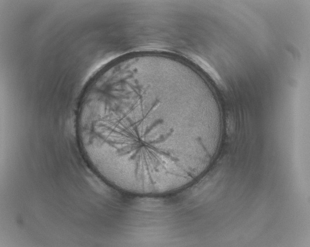 X0000115321356200911231342