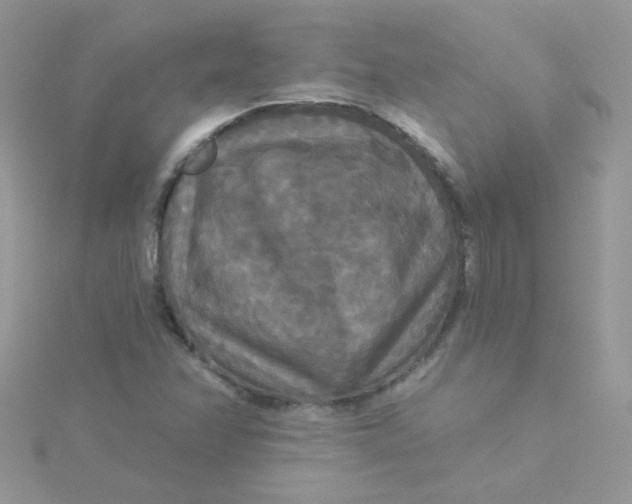 X0000115321358200911231342