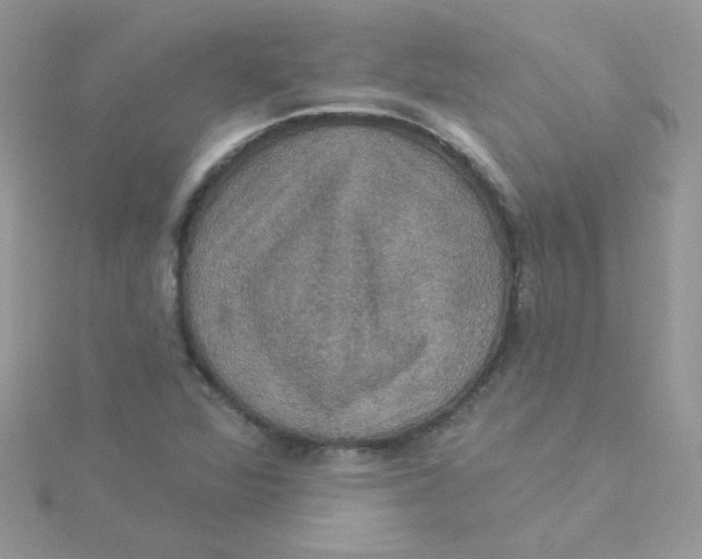 X0000115321360200911231342