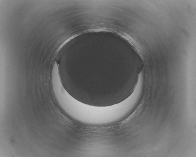 X0000115321361200911231342