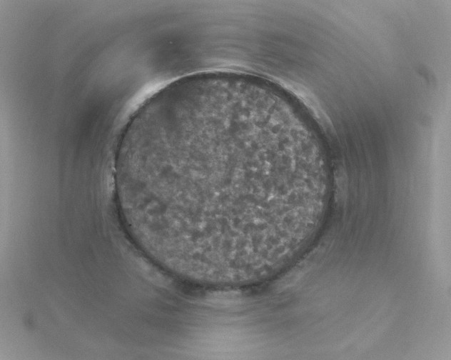 X0000115321363200911231342