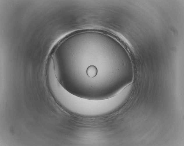 X0000115321364200911231342