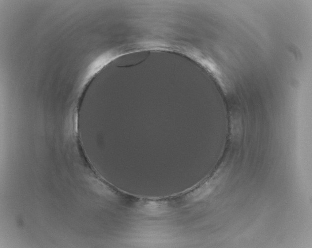 X0000115321365200911231342