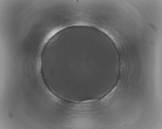 X0000115321367200911231342