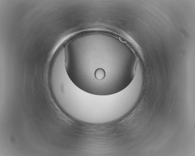 X0000115321368200911231341