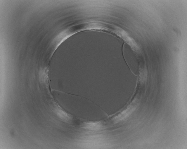 X0000115321369200911231341