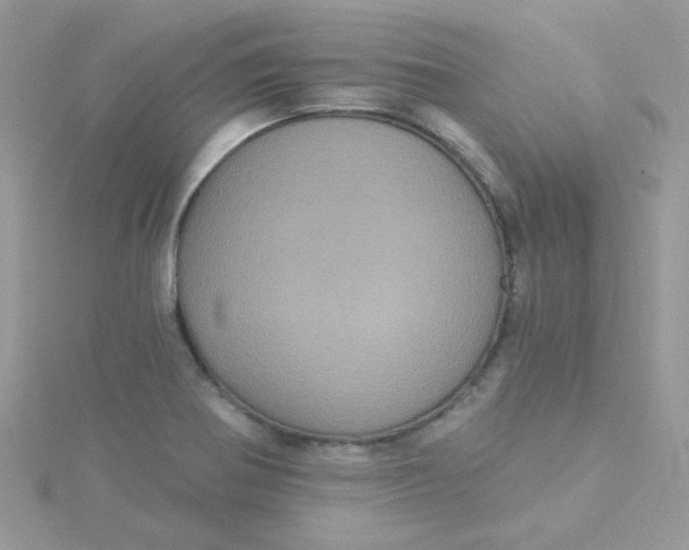 X0000115321370200911231341