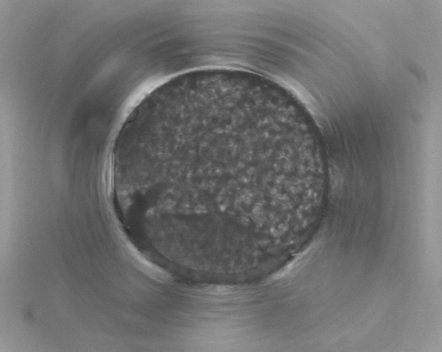 X0000115321371200911231341