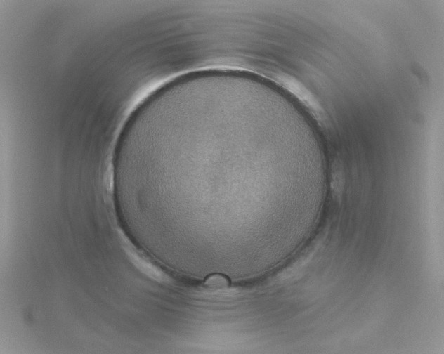 X0000115321372200911231341