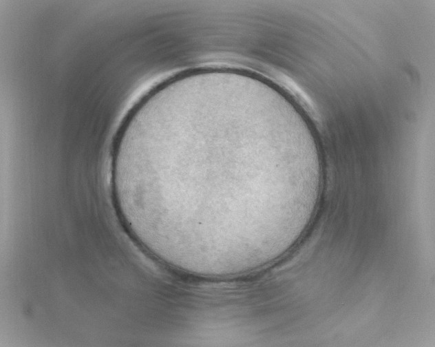 X0000115321376200911231341