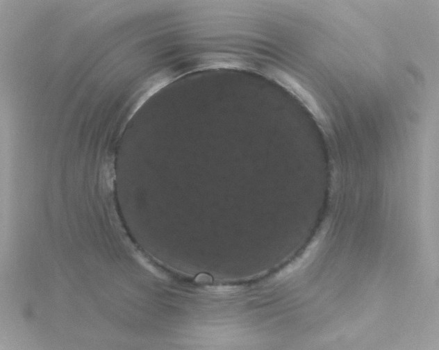 X0000115321377200911231341