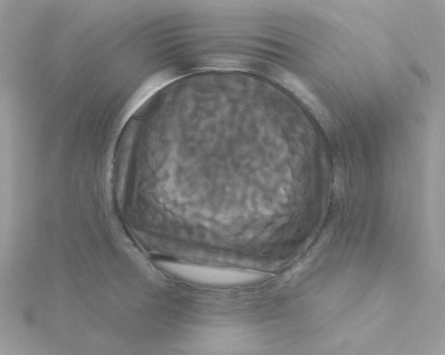 X0000115321378200911231341