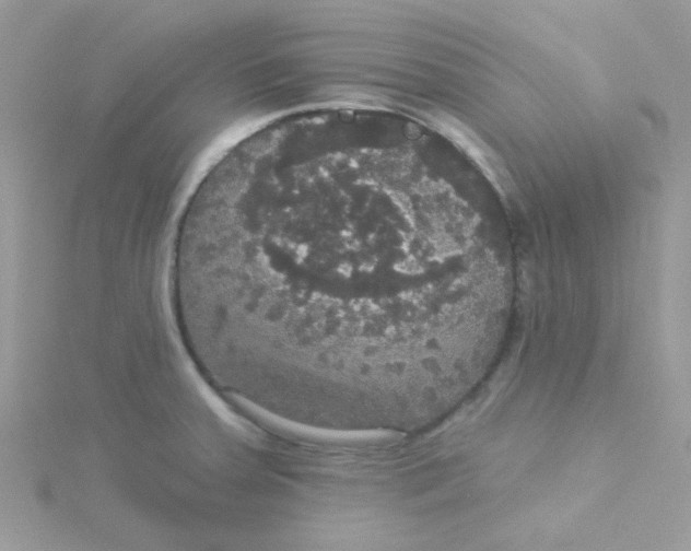 X0000115321379200911231341