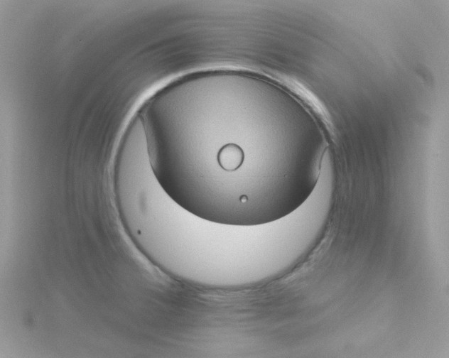 X0000115321380200911231341