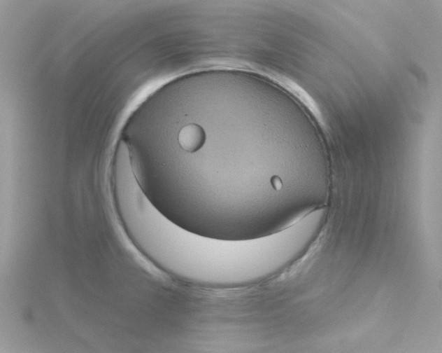 X0000115321381200911231341