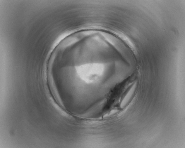 X0000115321382200911231341