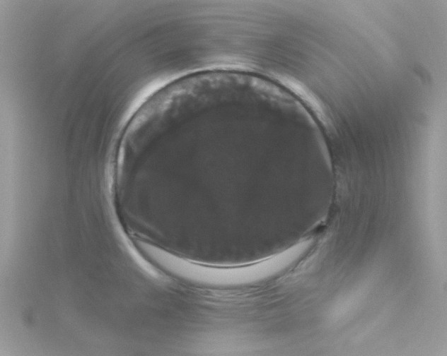 X0000115321383200911231341