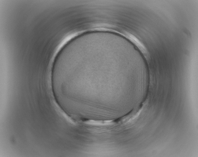 X0000115321384200911231341