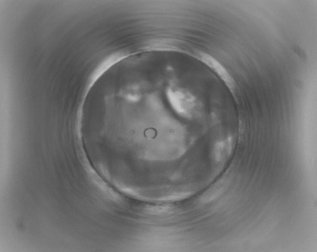 X0000115321386200911231341