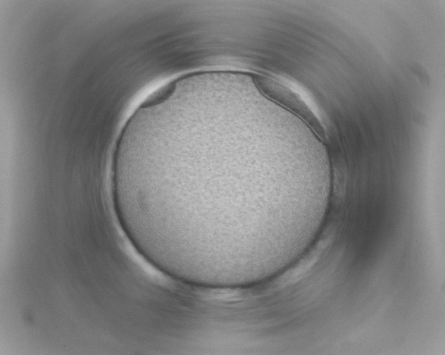 X0000115321387200911231341