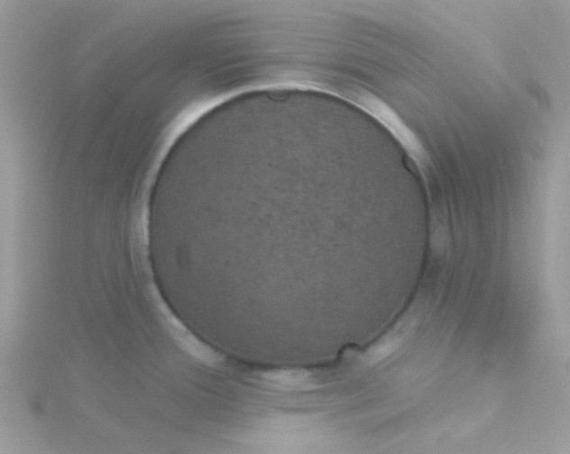 X0000115321388200911231341