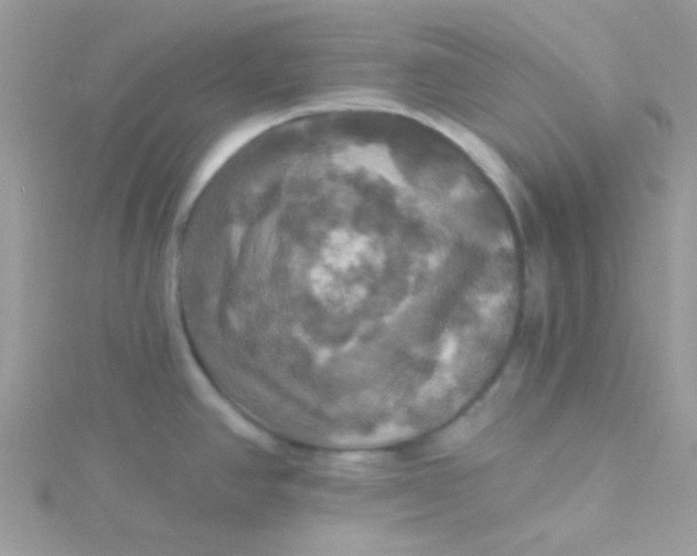 X0000115321390200911231341