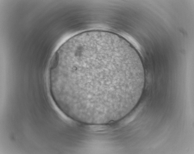 X0000115321391200911231341