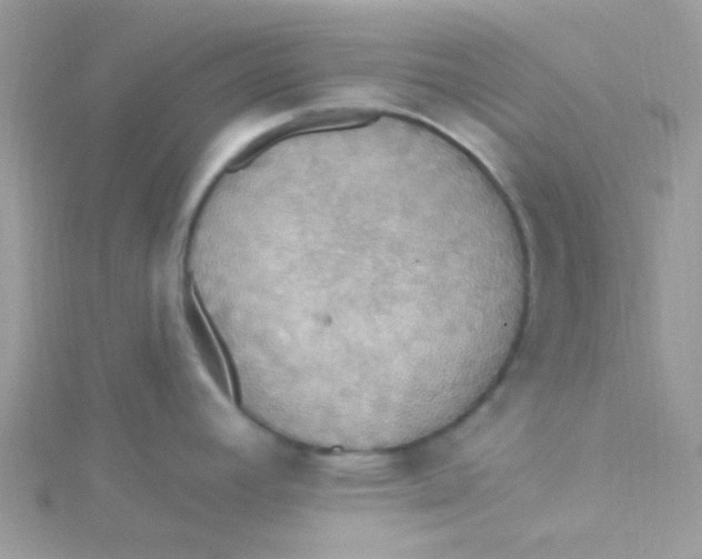 X0000115321392200911231341