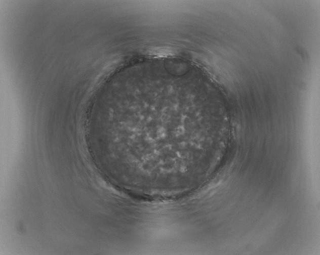 X0000115321393200911231341