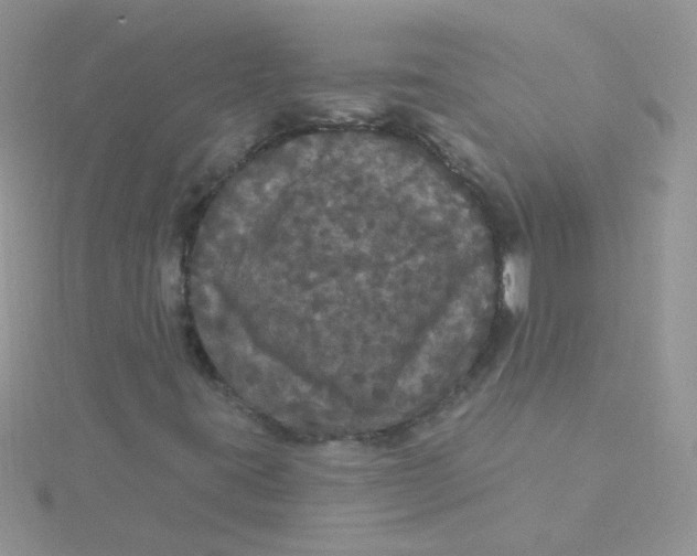 X0000115321395200911231341