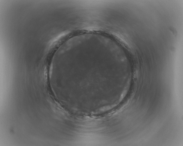 X0000115321398200911231341