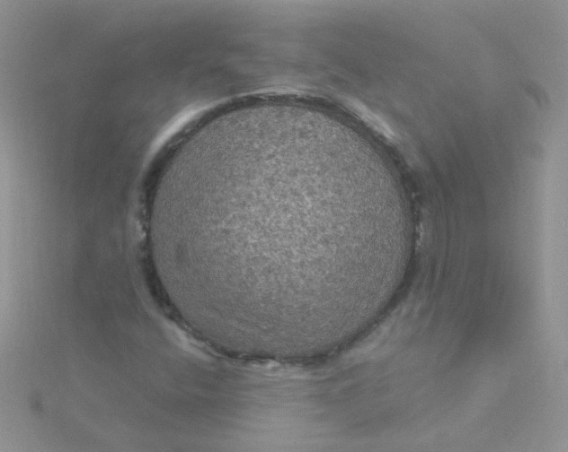 X0000115321400200911231341