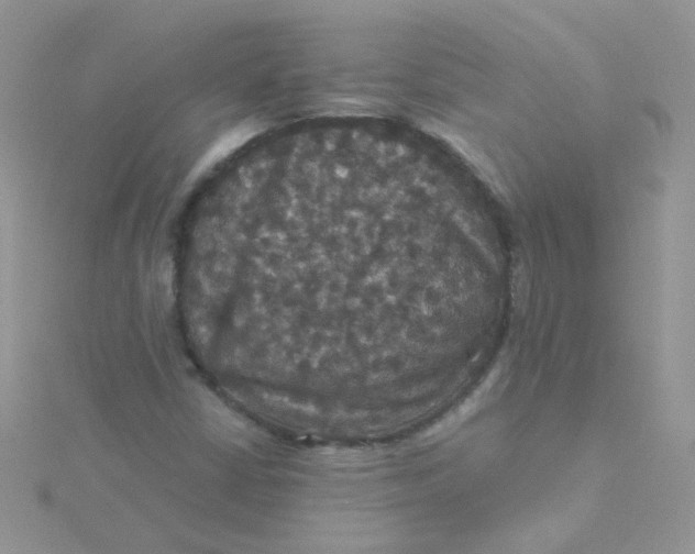 X0000115321402200911231341