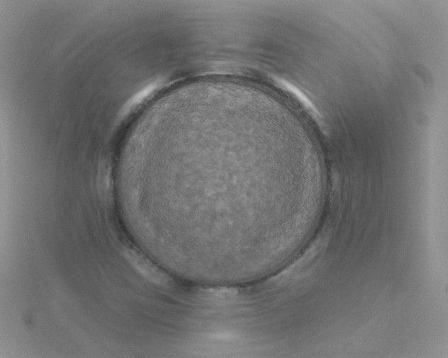 X0000115321403200911231341