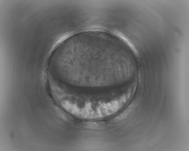 X0000115321405200911231341