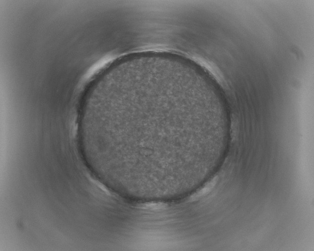 X0000115321406200911231341