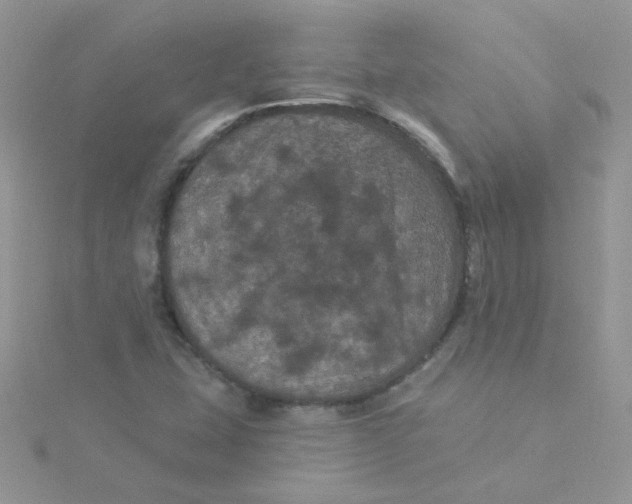 X0000115321407200911231341