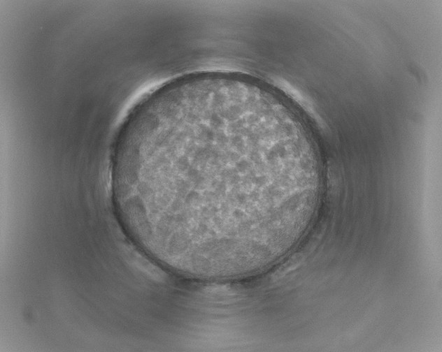 X0000115321408200911231341