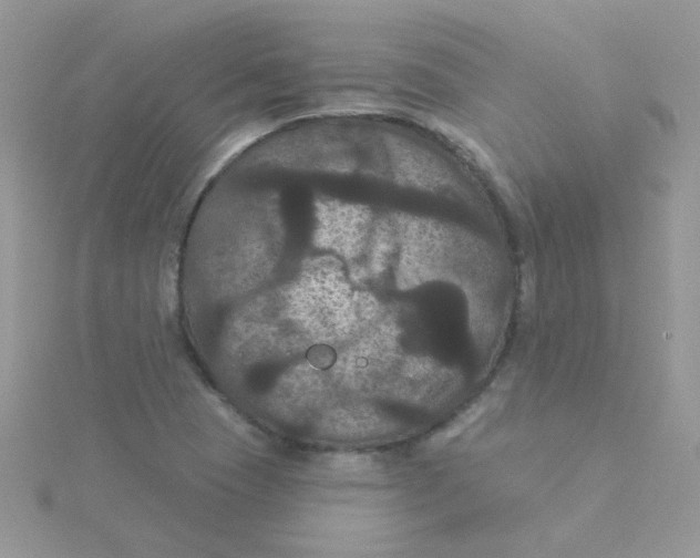 X0000115321409200911231341