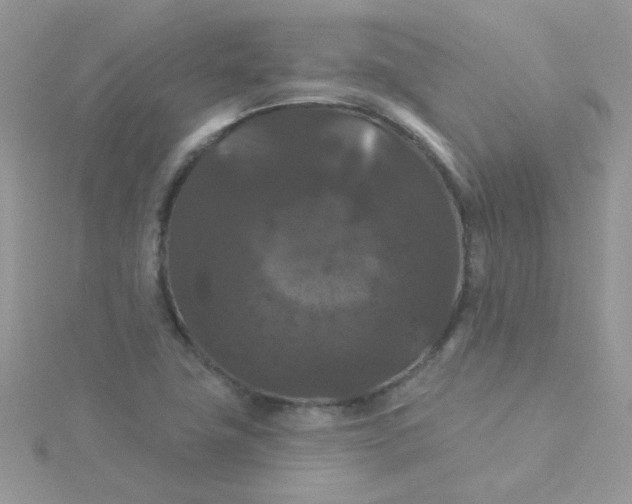 X0000115321411200911231341