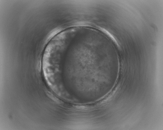 X0000115321413200911231341