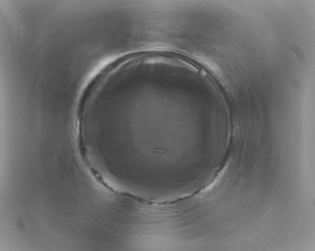 X0000115321414200911231341