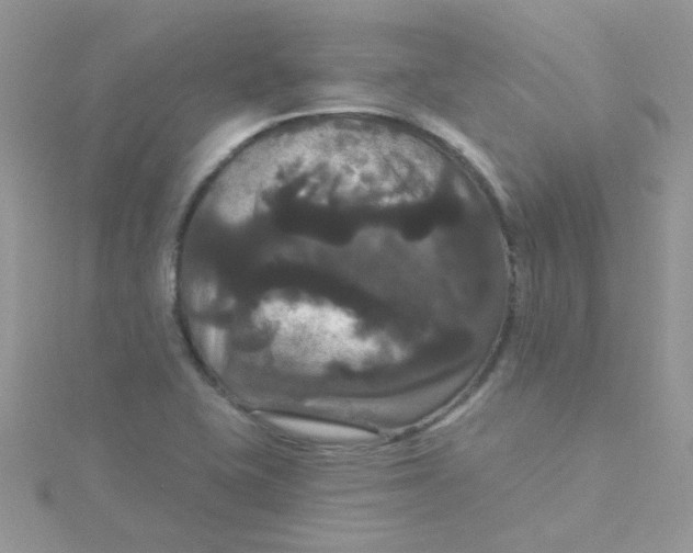 X0000115321415200911231341