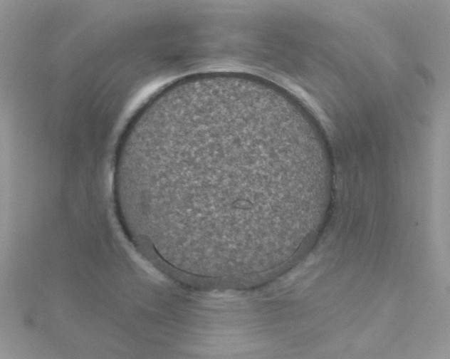 X0000115321416200911231341