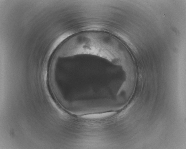 X0000115321418200911231341