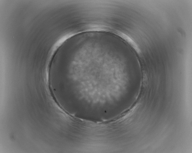 X0000115321419200911231341